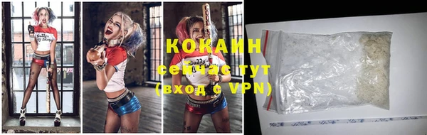 дмт Осташков