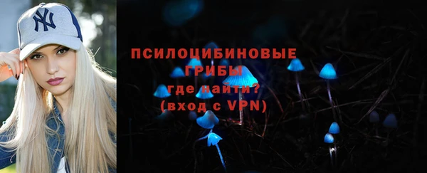 ECSTASY Алзамай