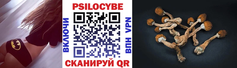 Псилоцибиновые грибы Cubensis  закладки  Бирюсинск 
